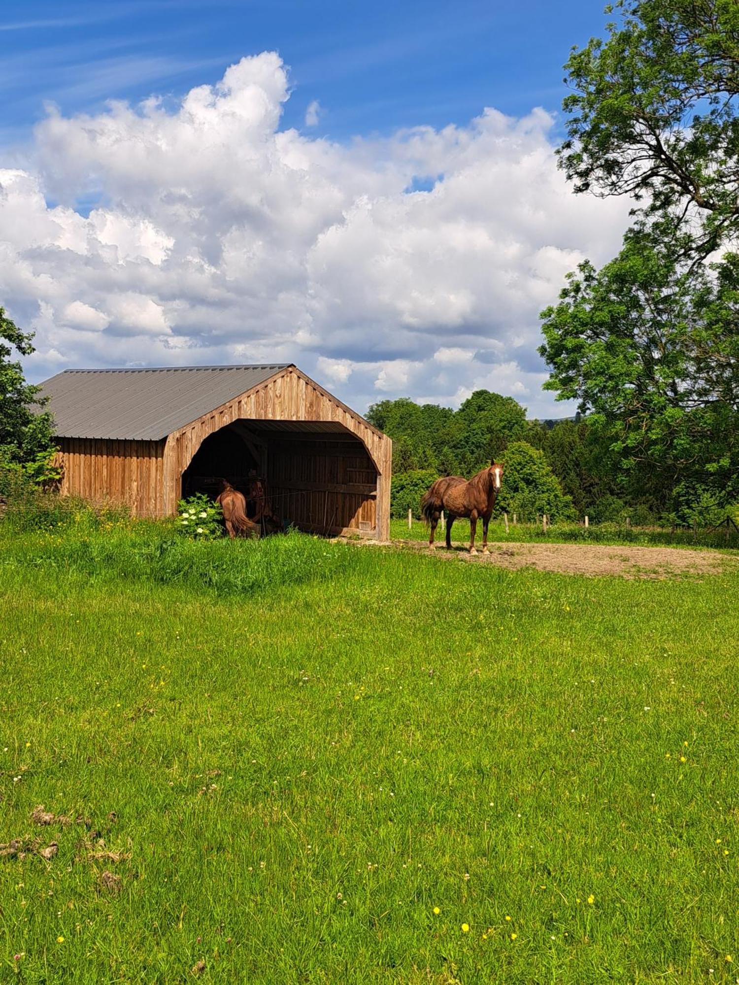 Gite L'Olivier A Filly - Nadrin, Entre Houffalize Et La Roche-En-Ardenne Eksteriør bilde